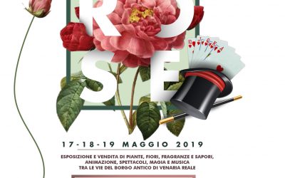 17^ edizione della Festa delle Rose a Venaria Reale